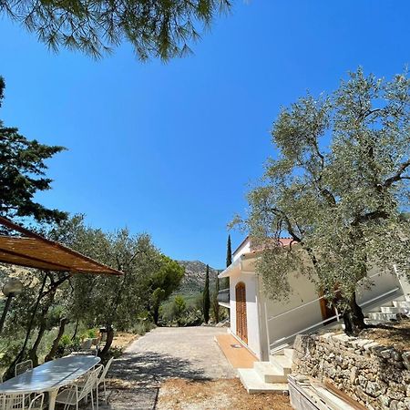 מאטינאטה Colori Del Sud - Residence מראה חיצוני תמונה